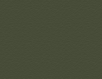 Concrete Stain - Olive Green