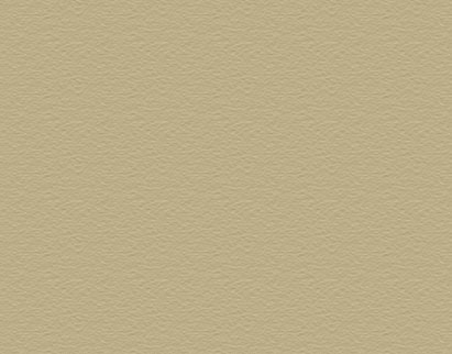 Concrete Stain - Desert Sand