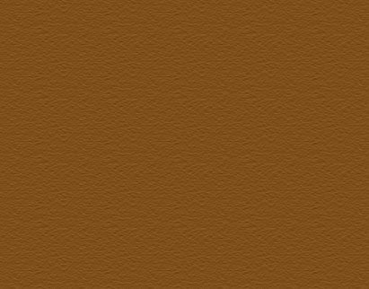 Concrete Stain - Dark Adobe