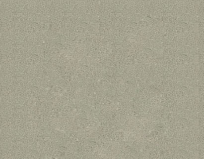 A close-up image of a fine, granular texture in a muted greenish-grey color, suggesting a plaster wall or stone surface.