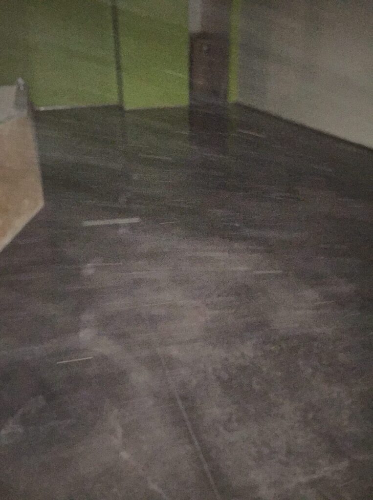 Staining and Sealing (5)