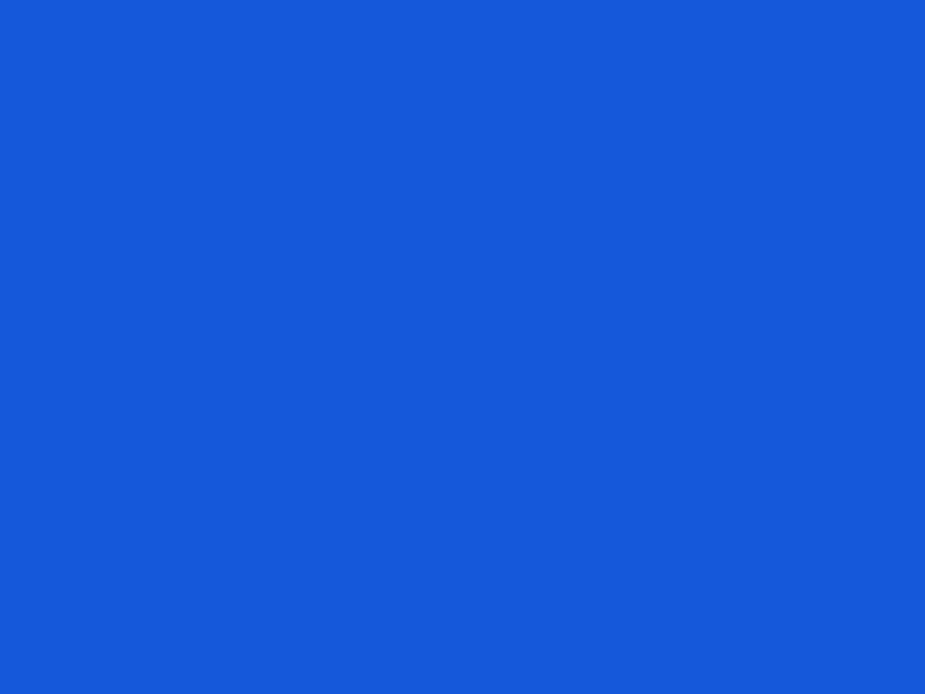 Solid Color - Safety Blue