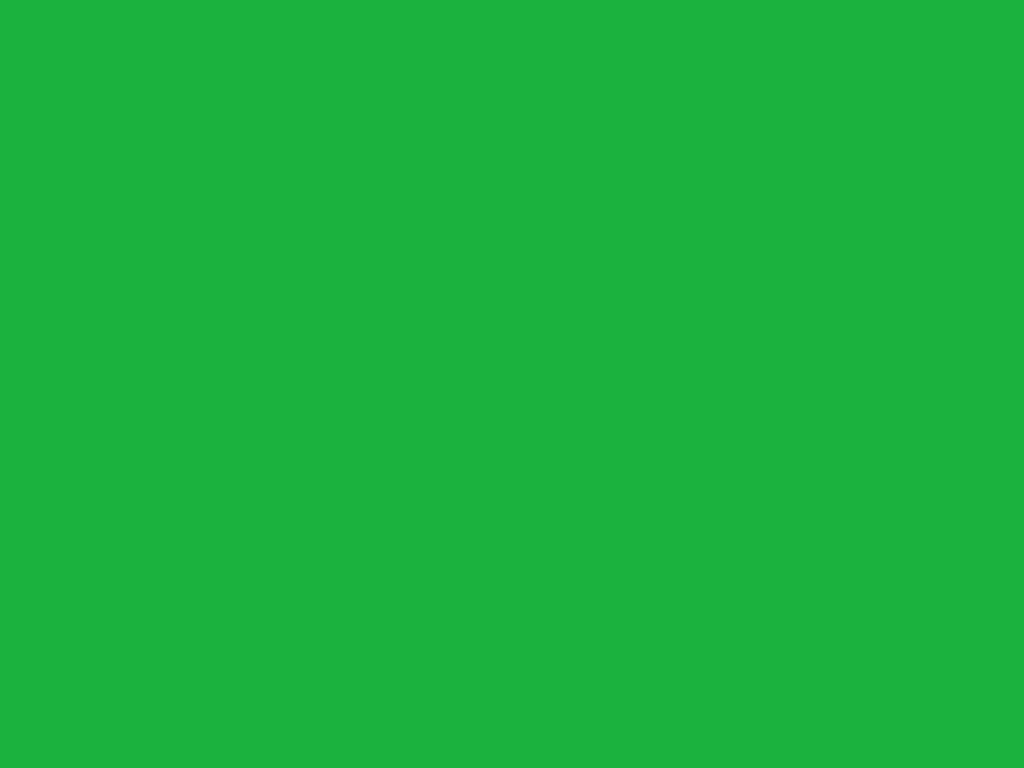 Solid Color - Safety Green